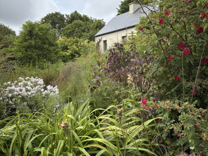 Drumminagran, , Ennistymon,  County Clare
