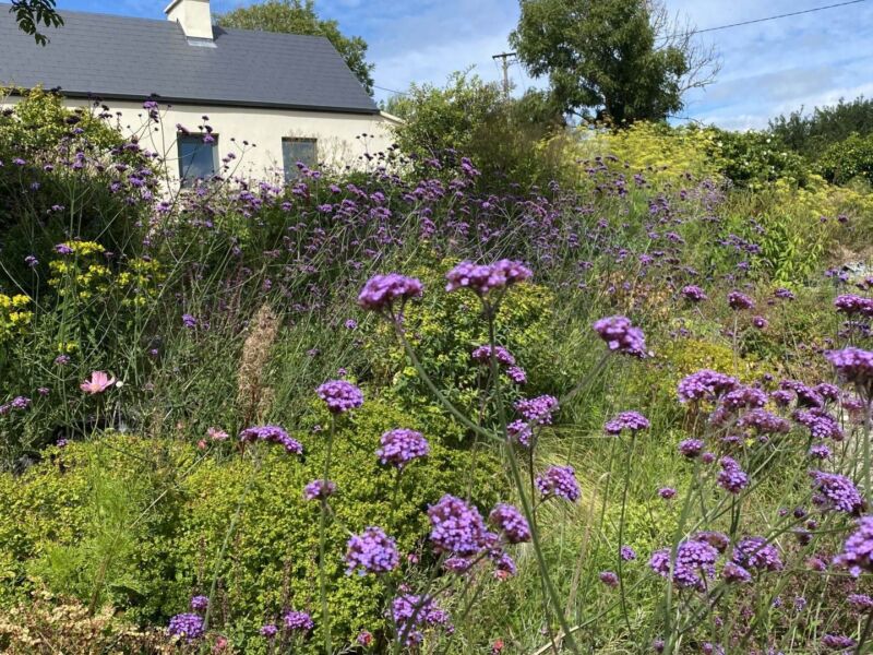 Drumminagran, , Ennistymon,  County Clare