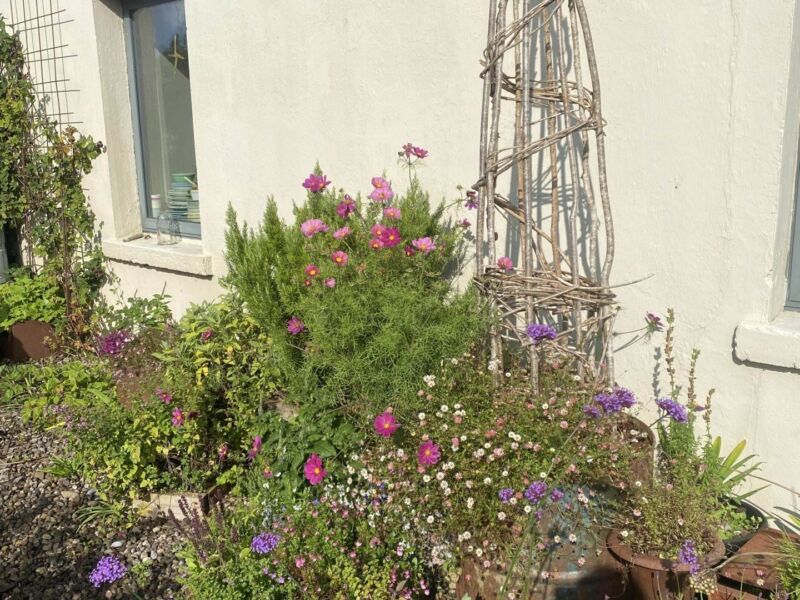 Drumminagran, , Ennistymon,  County Clare