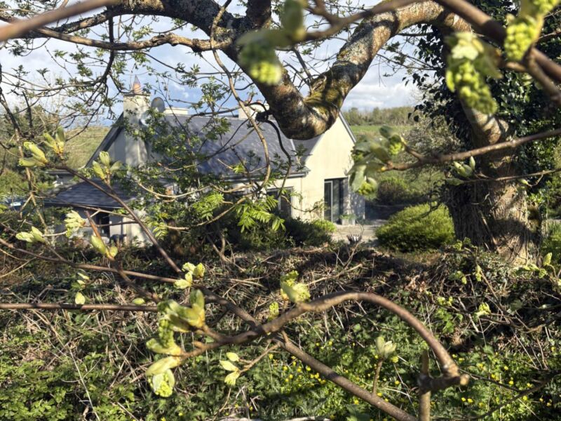 Drumminagran, , Ennistymon,  County Clare