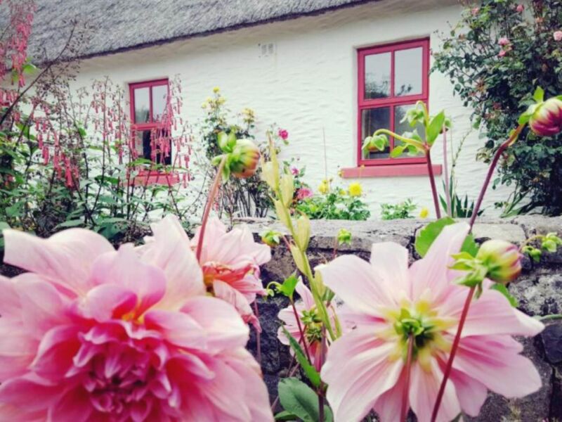 Rose Cottage, Oughtdarra, , Lisdoonvarna,  County Clare