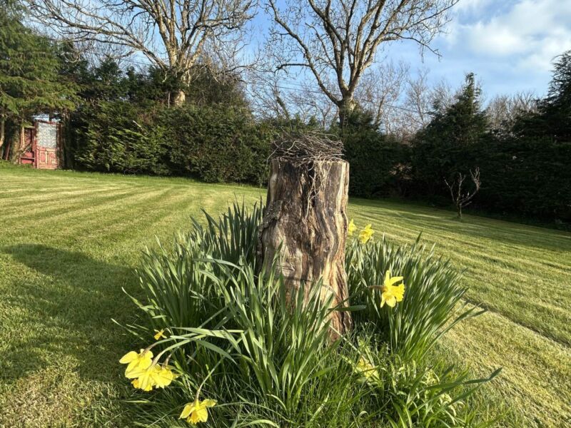 Ballycarroll, Barefield, , Ennis,  County Clare